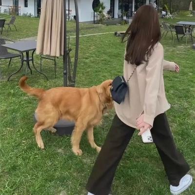 特工迷阵